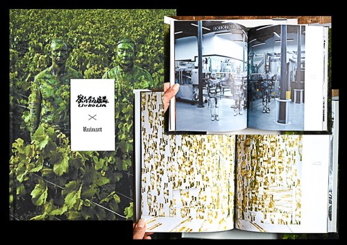 2018 liu bolin camouflage - bolin, art